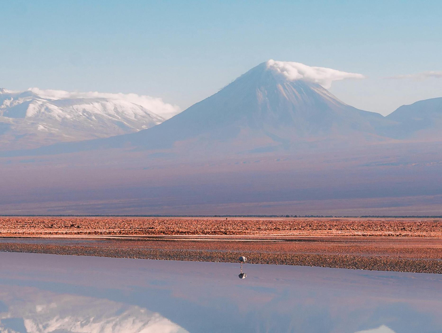 回眸2024：翻阅长篇小说的三种方式