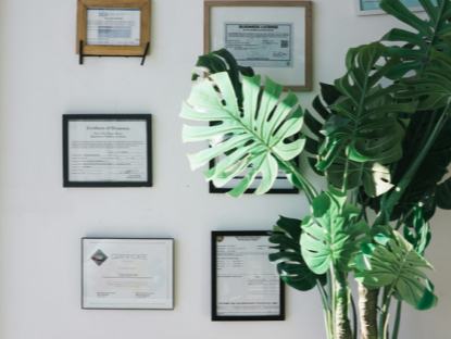 美国和欧洲多地评出的2024年年度最佳图书一瞥