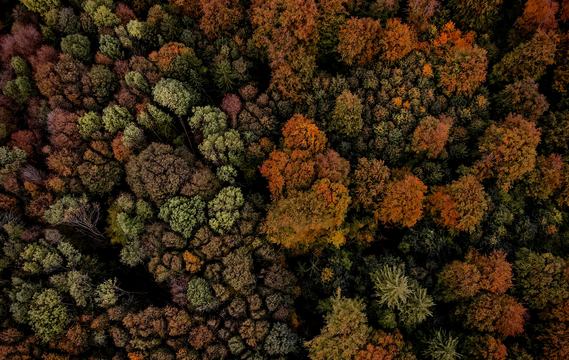 2024中国文学盘点：创获丰富多样 景象令人欣喜