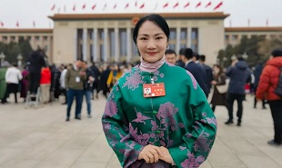 全国政协委员、山西艺术职业学院党委委员、副院长苗洁