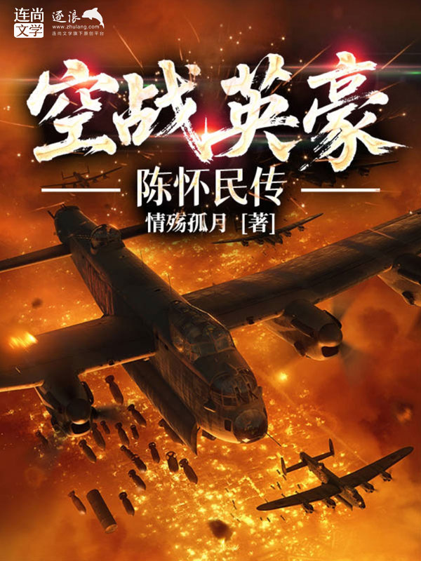 空战英豪:陈怀民传