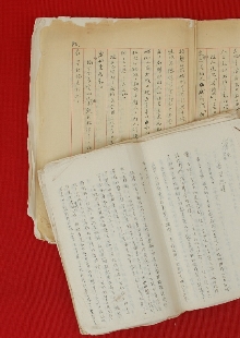 一份日记，如同显微镜下的“抗战长城”　　1939年，作家战地访问团北上前线途中，尽管危险重重，又紧张又劳累，王礼锡仍然想尽办法详细记录下访问团的活动和他自己的生活，或许他未曾想过这些文字会穿越战火，历经风风雨雨八十余载，成为一把打开抗战历史的特殊密钥。[详细]
