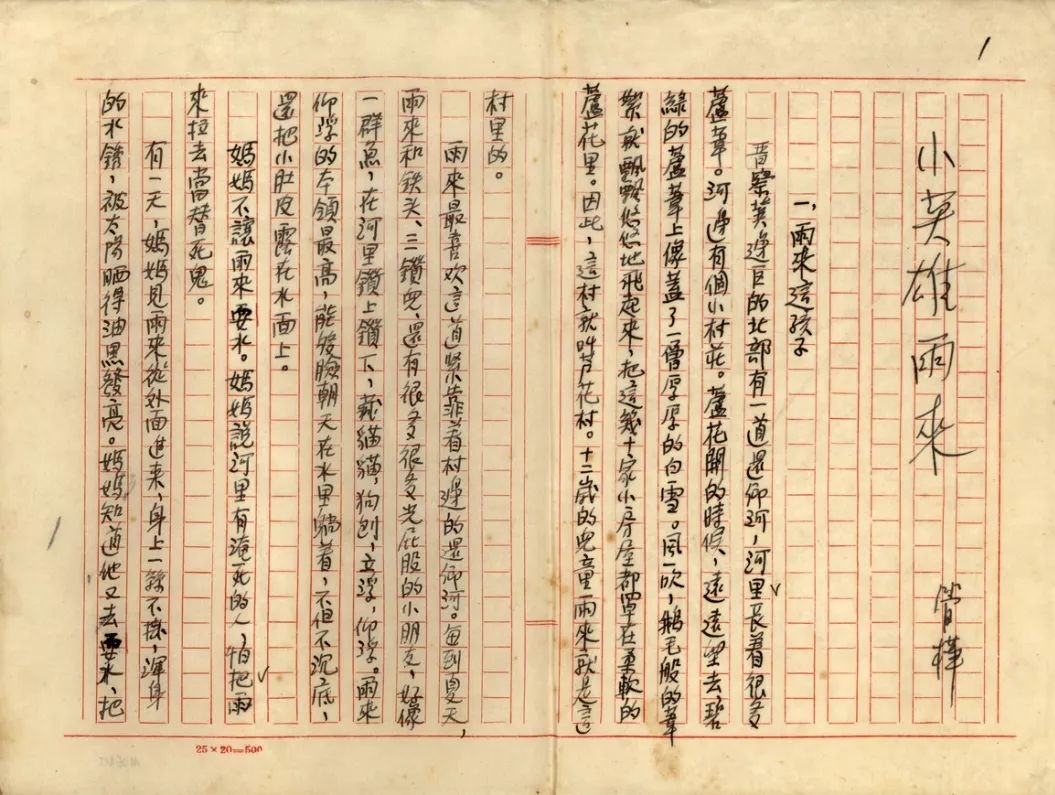 笔醒山河 | 《小英雄雨来》