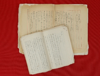 笔醒山河 | 《笔征日记》