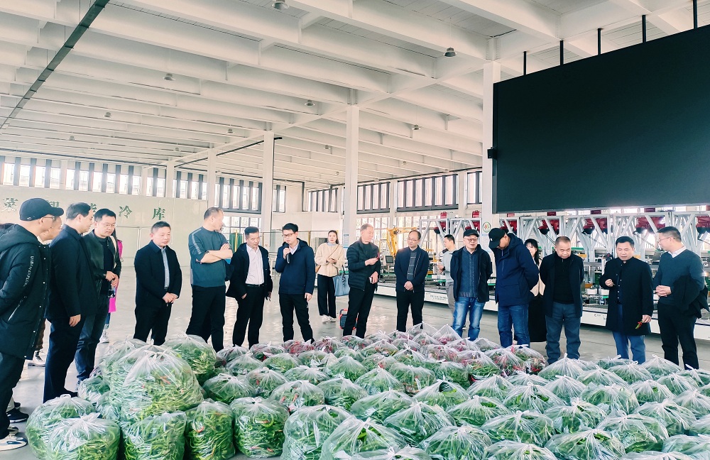2025年2月12日，采风团一行在长胜镇乡村振兴示范区参观