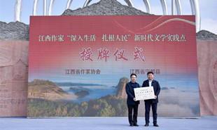 新时代文学实践点授牌