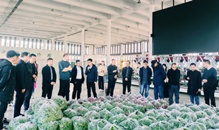 采风团一行在长胜镇乡村振兴示范区参观