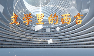 【视频】文学里的西吉