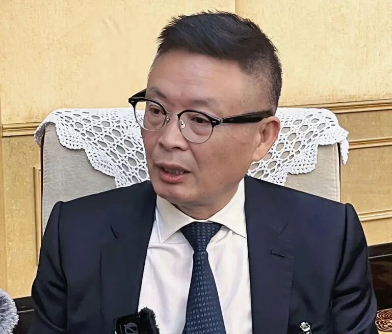 全国人大代表、中国作协副主席麦家